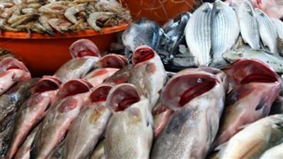 أسعار الأسماك اليوم الثلاثاء 26-12- 2023 في الدقهلية