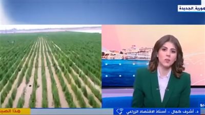 أستاذ اقتصاد: التنمية الزراعية في سيناء في قلب اهتمامات الأمن القومي المصري (فيديو)