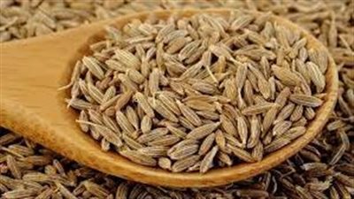 فوائد الكمون واستخدامه في الرجيم بسهولة