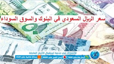 عاجل - سعر الريال السعودي.. ماذا يحدث الآن في السوق السوداء؟ وكم يسجل بالبنوك؟