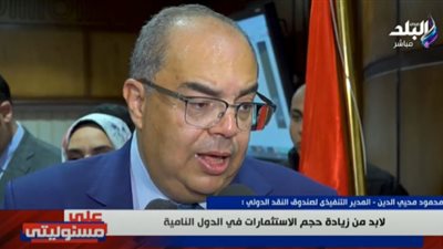 المدير التنفيذي لصندوق النقد الدولي يكشف التحديات الاقتصادية المصرية في 2024 (فيديو)