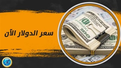  سعر الدولار اليوم السبت 13-1- 2024 بمحافظة الإسكندرية
