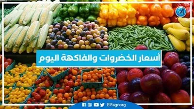 أسعار الخضروات اليوم الثلاثاء 9-1-2024 في قنا