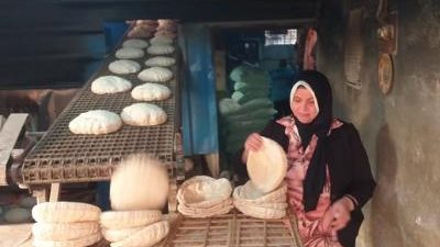 حملات الرقابة علي الأسواق تحرر 185 محضرا بمخالفات في الدقهلية 