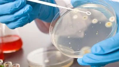 علم الأحياء الدقيقة الطبي: استكشاف عوالم الكائنات الصغيرة بأهميتها الطبية 