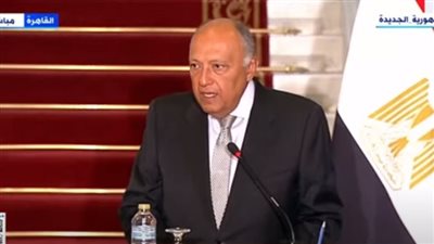 وزير الخارجية: وضع أهالي غزة مأساوي