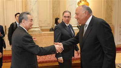 بيان مشترك بين مصر والصين بشأن القضية الفلسطينية