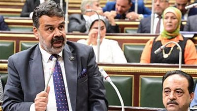 بعد واقعة النائب مجدي الوليلي.. ما شروط وإجراءات رفع الحصانة البرلمانية؟