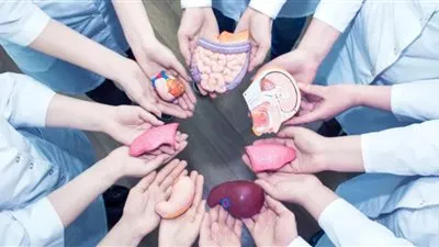 السجن المُشدد وغرامة مالية.. عقوبة مخالفة عمليات نقل الأعضاء بقانون 