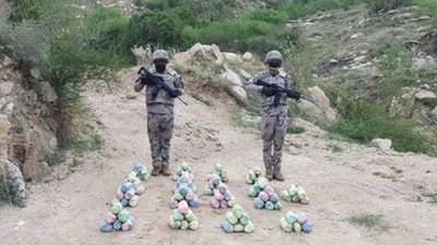 حرس الحدود بعسير يحبط تهريب 180 كيلوجرامًا من نبات القات المخدر