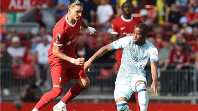 نابولي يحصل على صفقة افريقية من البريميرليج