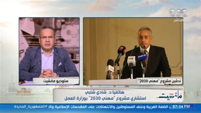 استشاري مشروع 