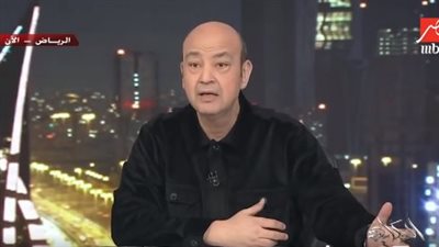 أديب عن مشروعات الشباب: 