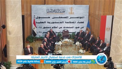 رئيس المحكمة الدستورية: القيادة السياسية حرصت على إعلاء القيم الدستورية وكلمة الدولة 