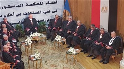 نائب رئيس الدستورية العليا: كان لزاما علينا شرح الأحكام لحماية حقوق المصريين