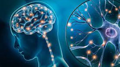 ماهي متلازمة السيروتونين؟.. وأعراضها وأسبابها وطرق العلاج
