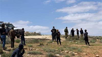 مستوطنون يطلقون النار على الأغنام ويطاردون الرعاة بمسافر يطا