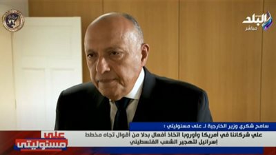 سامح شكري: هناك توافق عام على إقامة دولة فلسطينية عاصمتها القدس الشرقية (فيديو)