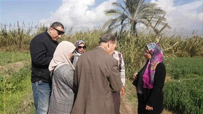 زراعة الإسكندرية تنظم ندوات توعية للذهب الأصفر