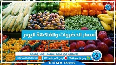 اسعار الفاكهة اليوم الثلاثاء 30-1-2024 في الدقهلية