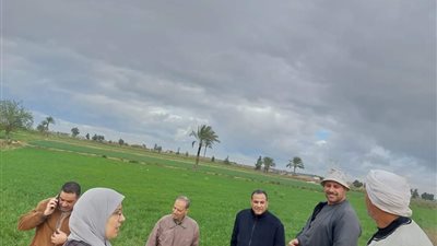 الزراعة تنظم يوم حقل لمزارعي إدارة العامرية في الإسكندرية