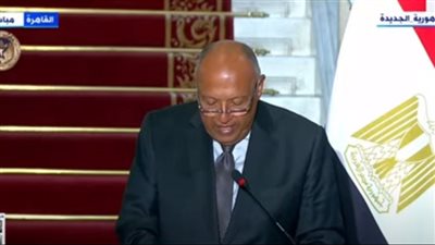 شكري: ما يشهده البحر الأحمر نتاج مباشر للممارسات الإسرائيلية بغزة (فيديو)