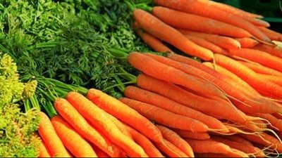 اعرف تفاصيل متعددة عن الجزر: تاريخها، تكوينها الغذائي، وفوائدها الصحية