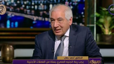 سعر الصرف وسلة العملات.. حل مطروح جديد لأزمة الدولار (فيديو)