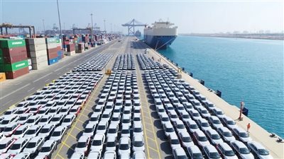 مد المهلة 3 أشهر.. أعرف موعد انتهاء مبادرة 