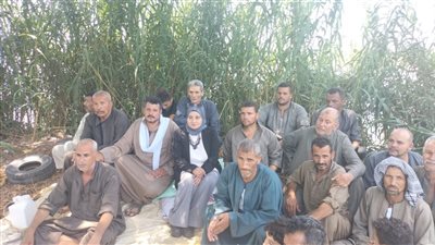 غدا.. لجنة مشكلة من وزارتي الري والصحة وحماية النيل لبحث أسباب تلوث مياه فرع رشيد بالمنوفية