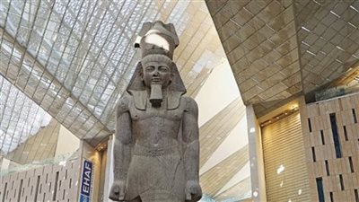 أعظم هدية من مصر للعالم.. مدير 