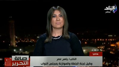 برلماني يكشف تأثير قرارات السيسي على خطة الموازنة العامة (فيديو)