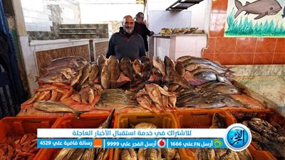 أسعار السمك البلطي والماكريل اليوم 16 فبراير بأسواق العبور ومعارض 