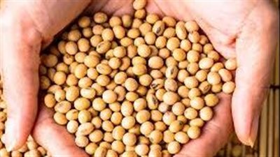قفزة في عقود بذرة الصويا الآجلة وسط تقديرات مُقلقة للإنتاج البرازيلي