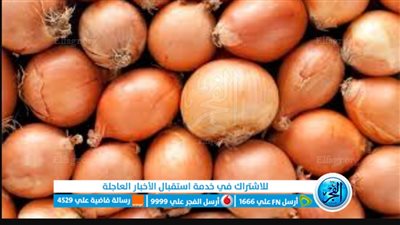 فوائد البصل..يعتبر كنز من الفوائد الصحية