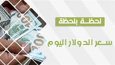 عاجل: سعر الدولار اليوم في البنوك والسوق السوداء