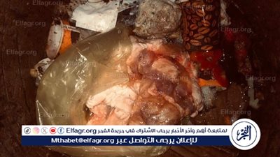 ضبط وإعدام أكثر من 1.5 طن مواد غذائية فاسدة بدمياط