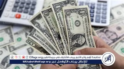 عاد لينتقم..سعر الدولار مقابل الجنيه المصري في السوق السوداء اليوم الأحد 11 فبراير 2024