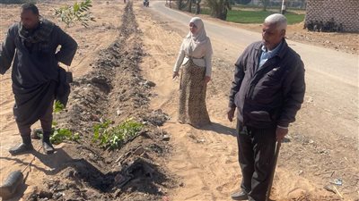 استمرار تنفيذ مبادرة زراعة 100 مليون شجرة بمركز البداري بأسيوط