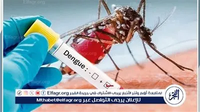 عاجل- حمى الضنك تتسبب في وفاة 54 شخص في البرازيل