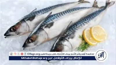  أسعار السمك اليوم الاثنين 12 فبراير بأسواق العبور.. البلطي يواصل ارتفاعاته 