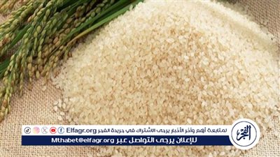 سعر الأرز في مصر اليوم.. استقرار نسبي في الأسعار بعد الارتفاعات الأخيرة