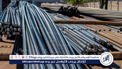 عاجل: هبوط في سعر طن الحديد اليوم الإثنين 12 فبراير 2024 للمستهلكين في مصر