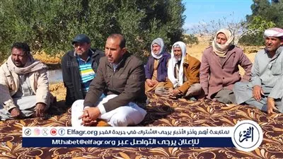 زراعة مطروح تقدم تقاوي القمح لمزارعي سيوة بتخفيض 50%