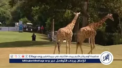 مشاهدة فيديو 