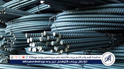 عاجل: سعر طن الحديد في مصر اليوم الثلاثاء 13 فبراير 2024 للمستهلكين