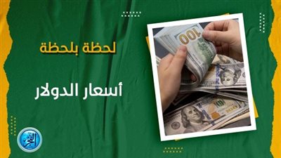 سعر الدولار في السوق السوداء اليوم الثلاثاء 13 فبراير 2024