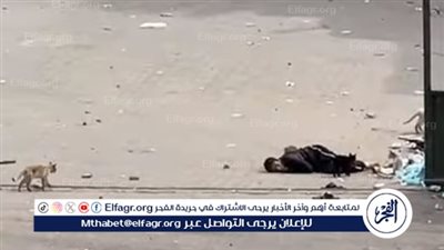 شاهد| جثمان طفل فلسطيني ملقى على الأرض بعد قنص الاحتلال الإسرائيلي