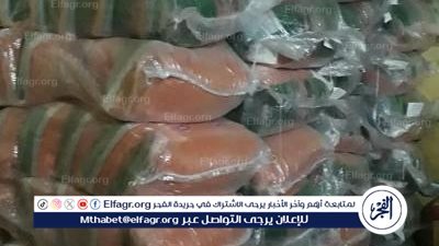 حملة تفتيش تموينية لضبط ومتابعة مخازن المواد الغذائية بالإسكندرية 