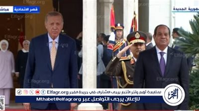 السيسي: توافقت مع أردوغان على ضرورة وقف إطلاق النار فورا في غزة